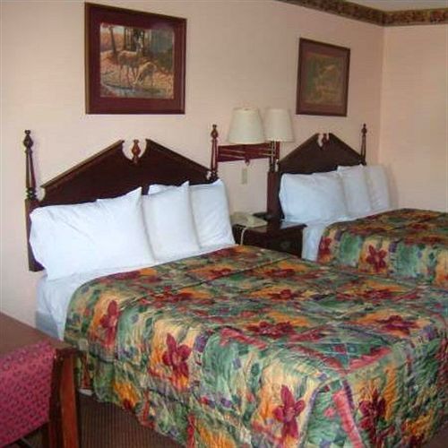 Clairmont Inn&Suites - Warren Chambre photo